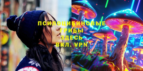 эйфоретик Карпинск