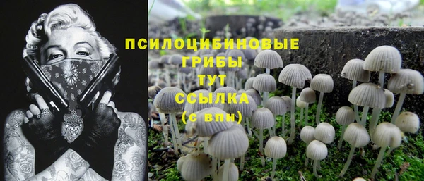 спайс Касимов