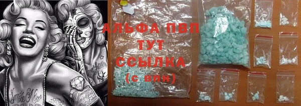 спайс Касимов