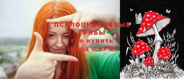 эйфоретик Карпинск